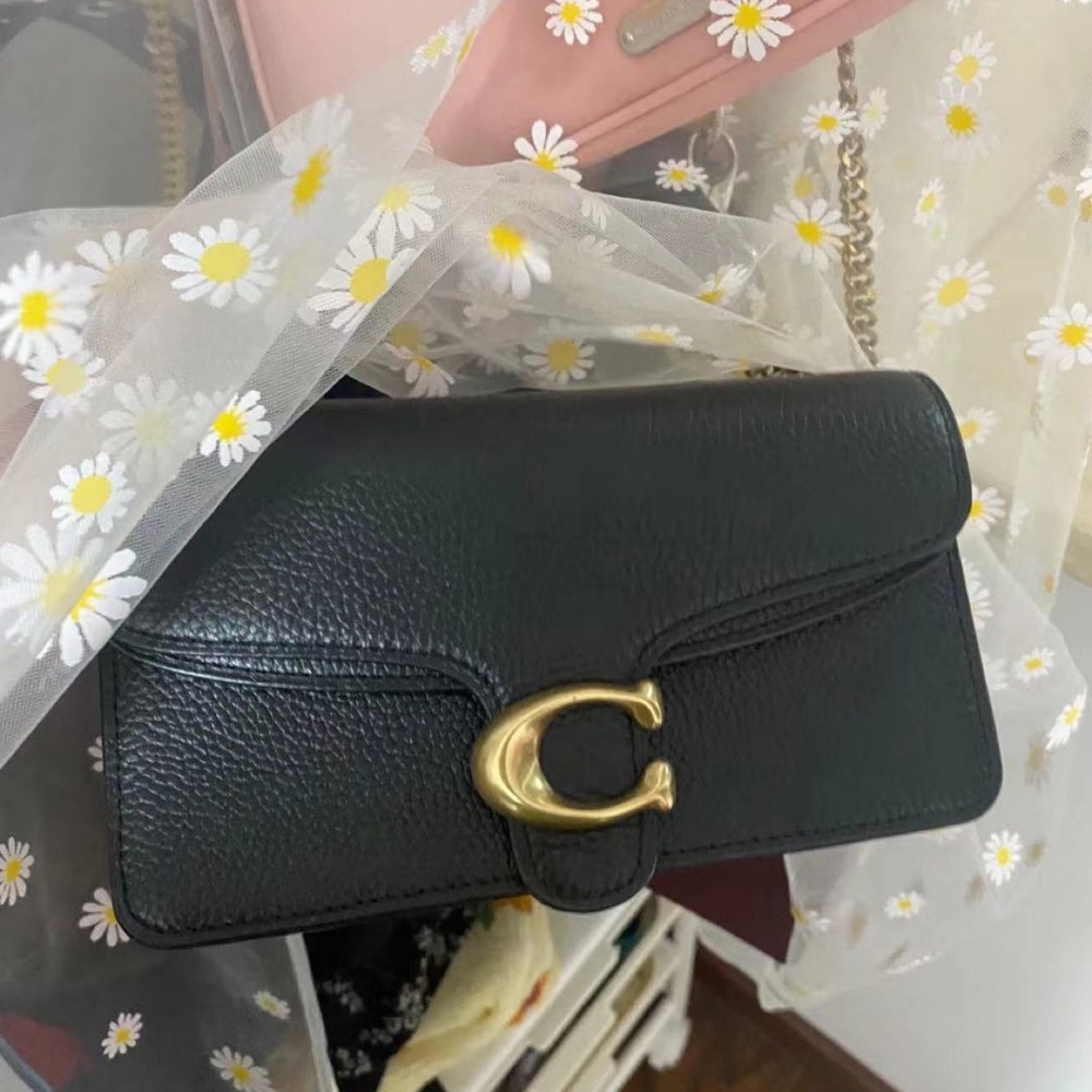 Coach Women's leather mini bag